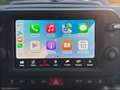 Fiat Panda Cross 1.0 FireFly S&S Hybrid Blau - thumbnail 14