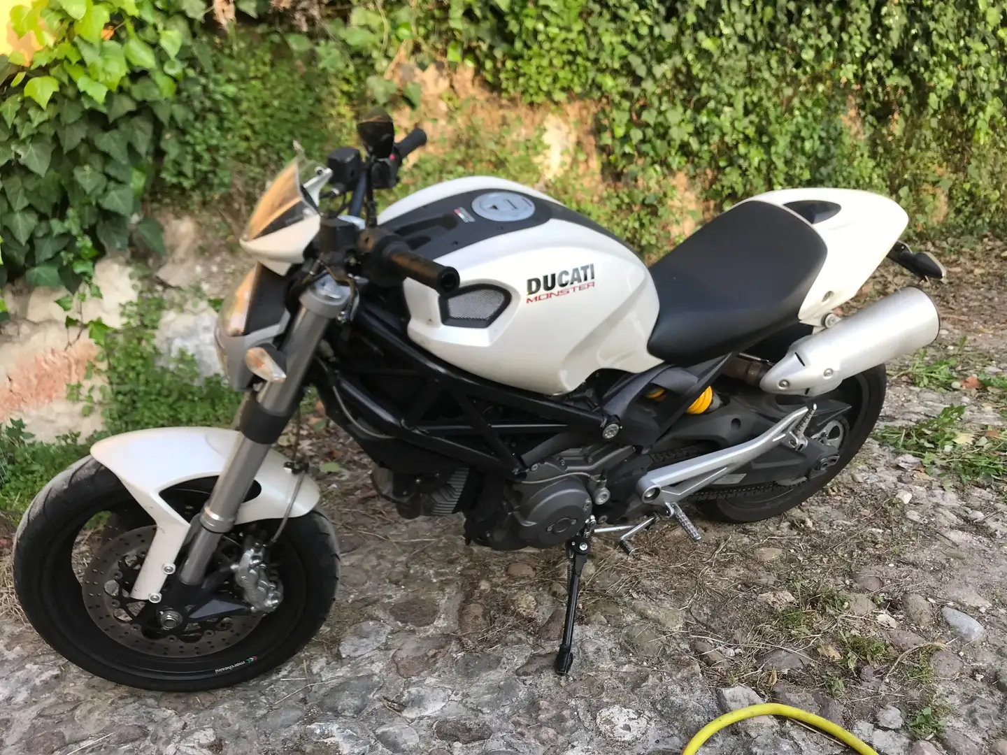 Ducati Monster 696 plus bijela - 1