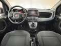 Fiat Panda 1.0 FireFly S&S Hybrid Rosso - thumbnail 4