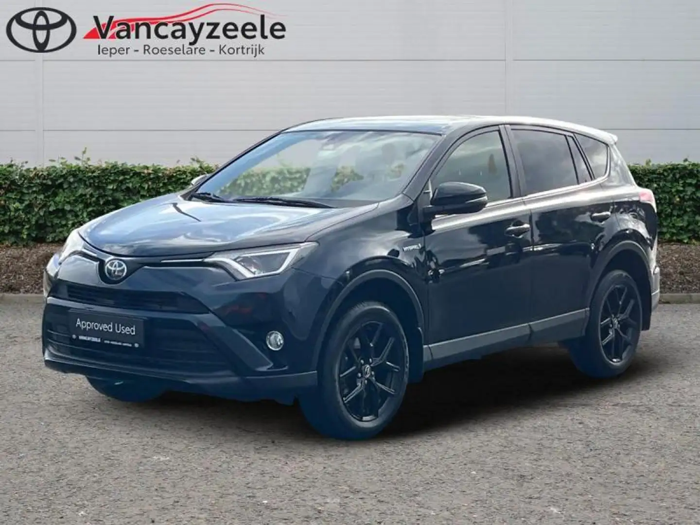 Toyota RAV 4 Comfort & Black Edition+panoda Blauw - 1