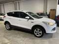 Ford Kuga 1.5 EcoB. Auto S&S Trend 4x2 150 Blanco - thumbnail 3