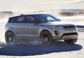 Land Rover Range Rover Evoque 2.2L TD4 Dynamic 4x4 Aut. Gris - thumbnail 24