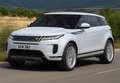 Land Rover Range Rover Evoque 2.2L TD4 Dynamic 4x4 Aut. Gris - thumbnail 9