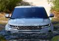 Land Rover Range Rover Evoque 2.2L TD4 Dynamic 4x4 Aut. Gris - thumbnail 22