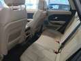 Land Rover Range Rover Evoque 2.2L TD4 Dynamic 4x4 Aut. Gris - thumbnail 6