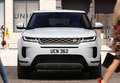 Land Rover Range Rover Evoque 2.2L TD4 Dynamic 4x4 Aut. Gris - thumbnail 5