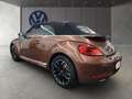 Volkswagen Beetle Cabriolet 1.2 TSI BMT Sound Navi Sitzheiz Brown - thumbnail 6