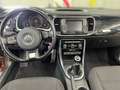 Volkswagen Beetle Cabriolet 1.2 TSI BMT Sound Navi Sitzheiz Brown - thumbnail 13