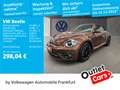 Volkswagen Beetle Cabriolet 1.2 TSI BMT Sound Navi Sitzheiz Brown - thumbnail 1