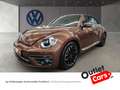 Volkswagen Beetle Cabriolet 1.2 TSI BMT Sound Navi Sitzheiz Braun - thumbnail 1
