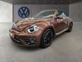 Volkswagen Beetle Cabriolet 1.2 TSI BMT Sound Navi Sitzheiz Braun - thumbnail 2