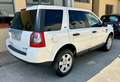 Land Rover Freelander 2.2 TD4 S.W. S Bianco - thumbnail 9