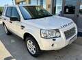 Land Rover Freelander 2.2 TD4 S.W. S Bianco - thumbnail 1