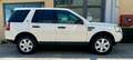 Land Rover Freelander 2.2 TD4 S.W. S Bianco - thumbnail 5