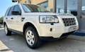 Land Rover Freelander 2.2 TD4 S.W. S Bianco - thumbnail 3