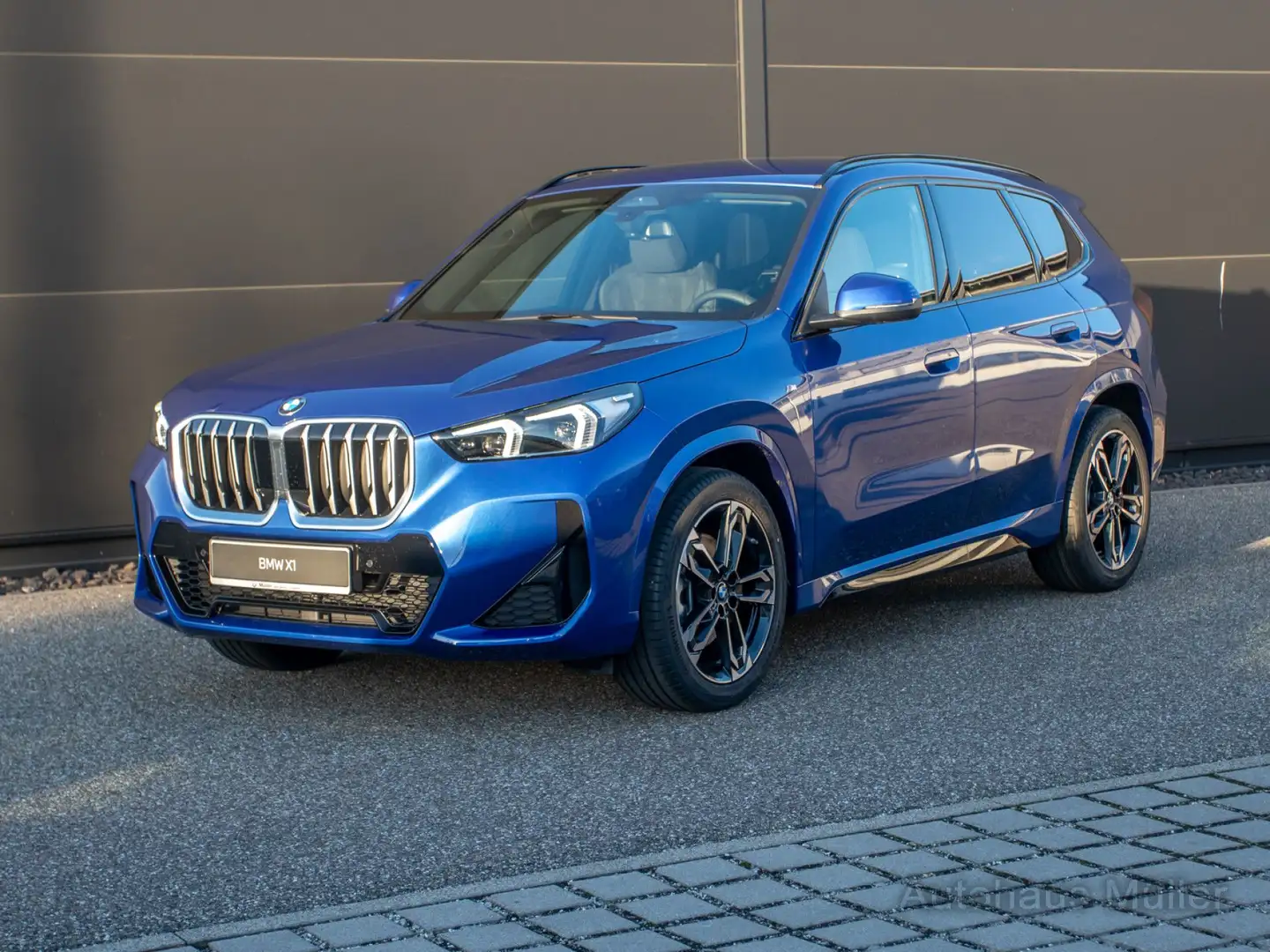 BMW X1 sDrive20i M Sport H/K AHK Totwinkel Premium LED Blau - 2