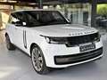 Land Rover Range Rover P530 Autobiography SWB|BlackP.|Rot|Export Weiß - thumbnail 4