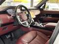 Land Rover Range Rover P530 Autobiography SWB|BlackP.|Rot|Export Weiß - thumbnail 8