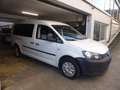 Volkswagen Caddy Maxi Kombi EcoProfi Weiß - thumbnail 1