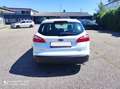 Ford Focus Champions Edition Wit - thumbnail 4