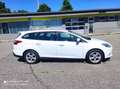 Ford Focus Champions Edition Wit - thumbnail 2