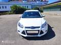 Ford Focus Champions Edition Wit - thumbnail 3