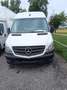 Mercedes-Benz Sprinter L4H3 Bus Weiß - thumbnail 1