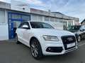 Audi Q5 2.0 TDI  quattro S line Autom.*MMi Plus*Xenon Wit - thumbnail 3