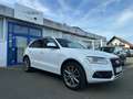 Audi Q5 2.0 TDI  quattro S line Autom.*MMi Plus*Xenon Wit - thumbnail 2