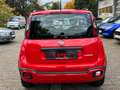 Fiat Panda 1.0 Hybrid City Cross * PDC, Bluetooth* Rot - thumbnail 4