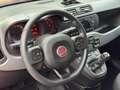 Fiat Panda 1.0 Hybrid City Cross * PDC, Bluetooth* Rot - thumbnail 10