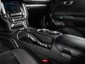 Ford Mustang GT 5.0 Ti-VCT V8 Fastback *B&O*TIEFERLEGUNG*20ZOLL Gris - thumbnail 22