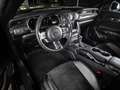 Ford Mustang GT 5.0 Ti-VCT V8 Fastback *B&O*TIEFERLEGUNG*20ZOLL Gris - thumbnail 10