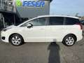 Peugeot 5008 1.6 BlueHDi KLIMA PDC BLUETOOTH Bianco - thumbnail 5