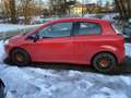 Fiat Punto Punto 1.9 (JTD) Multijet Emotion Rot - thumbnail 3
