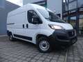 Fiat Ducato Kasten 33 140 L2H2 RS: 3450 KLIMAUT/DAB/PDC Weiß - thumbnail 1
