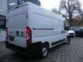 Fiat Ducato Kasten 33 140 L2H2 RS: 3450 KLIMAUT/DAB/PDC Blanc - thumbnail 17
