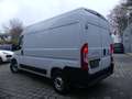 Fiat Ducato Kasten 33 140 L2H2 RS: 3450 KLIMAUT/DAB/PDC Weiß - thumbnail 16