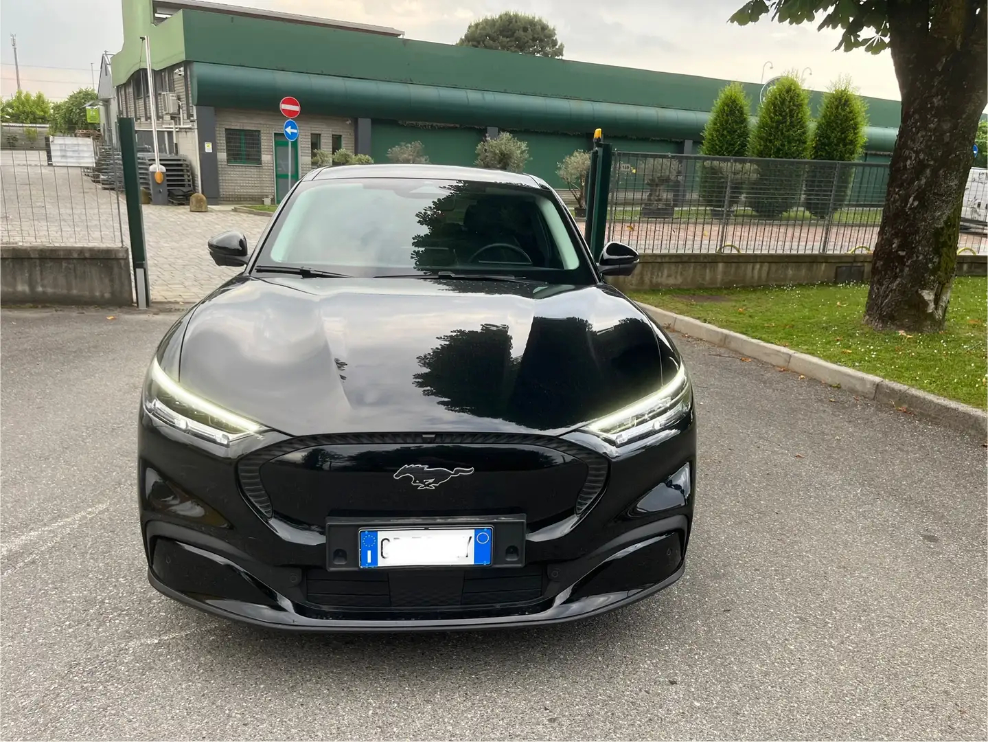 Ford Mustang Mustang Mach-e standard range rwd 269cv auto Zwart - 1