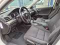 Honda Accord 2.0i Special Edition AUT *191.242 KM*CLIMA*CV Білий - thumbnail 13