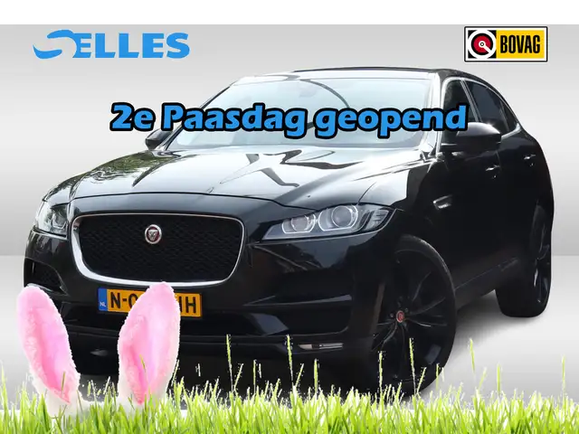 Jaguar F-Pace 3.0 Portfolio AWD 30d Navigatie | Leder | bi- Xeno