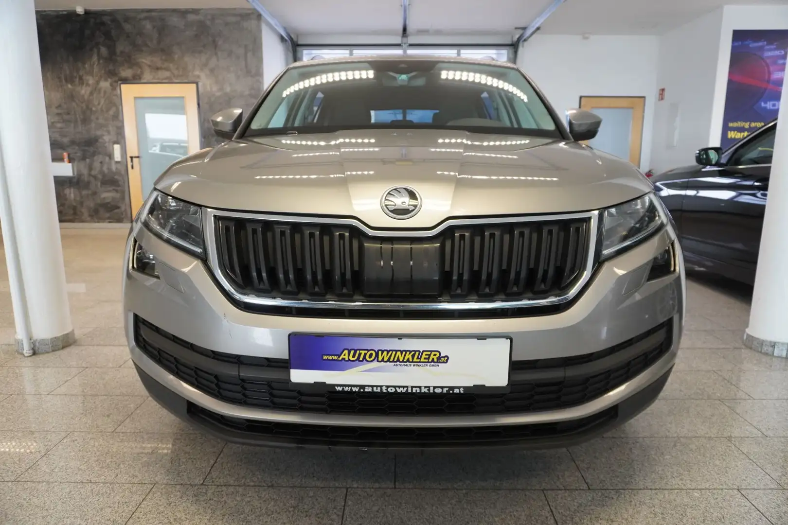Skoda Kodiaq 2.0 TDI DSG 4x4 Navi/LED/PDC Beige - 2