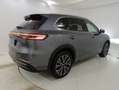 Geely Starray EM-i 00000 Grau - thumbnail 12