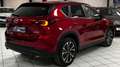 Mazda CX-5 Center-Line TÜV&AU neu&Garantie Rot - thumbnail 8