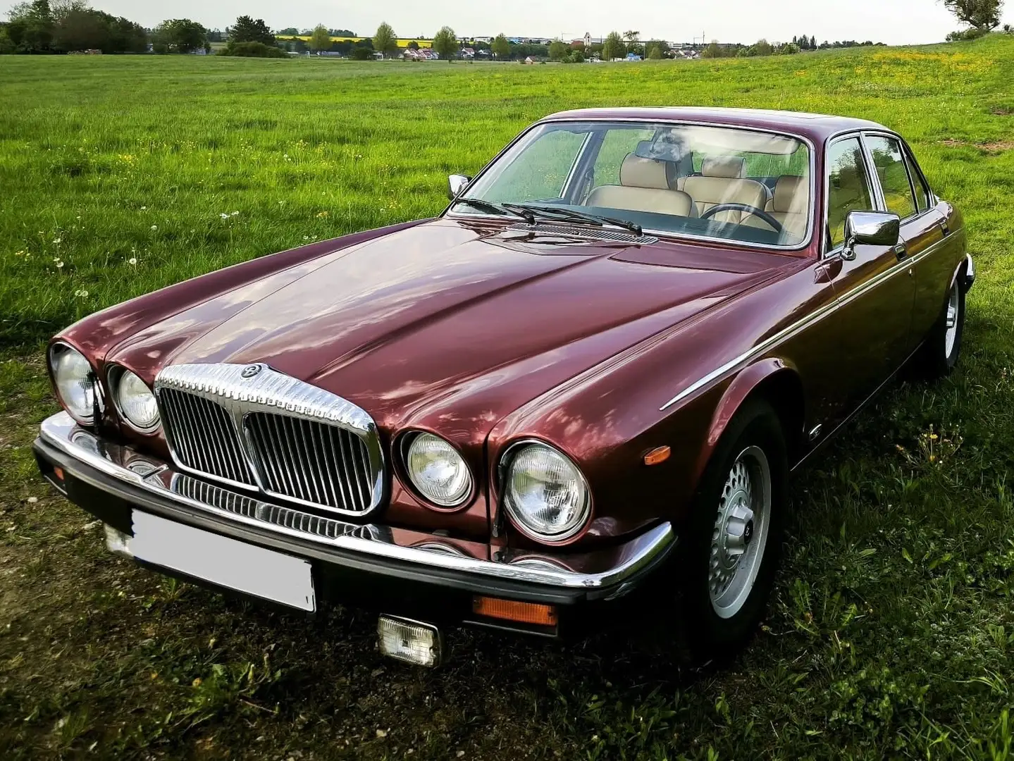 Daimler Double Six Jaguar / Daimler Double Six seit 1995 in Besitz Rot - 1