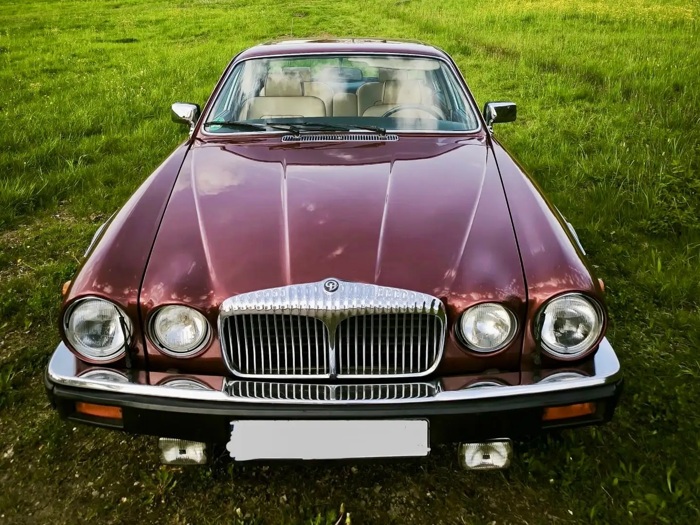 Daimler Double Six Jaguar / Daimler Double Six seit 1995 in Besitz Rot - 2