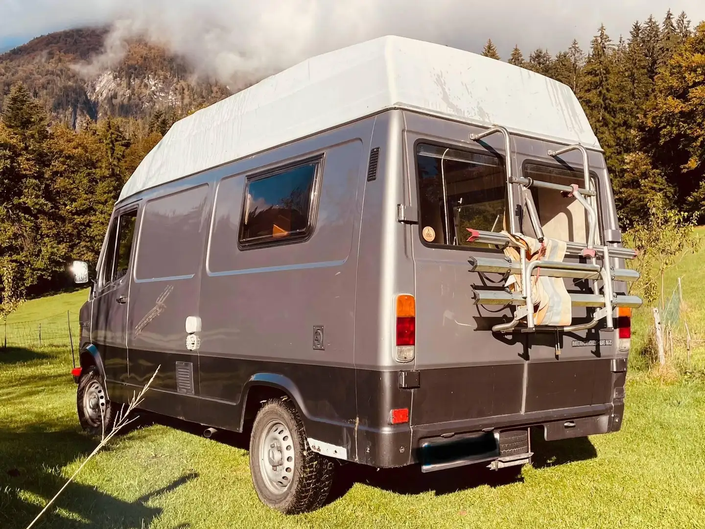 Mercedes-Benz T1 307 D/33 3,20 t Silber - 2