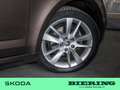 Skoda Octavia Combi 1.0 TSI Clever SHZ KAMERA NAVI LED Brun - thumbnail 5
