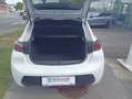 Peugeot 208 ALLURE PureTech 100 6-Gang-Manuell Weiß - thumbnail 13