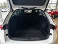 Skoda Octavia Combi Style 2.0 TDI "LED/Head-Up/Pano" Weiß - thumbnail 19